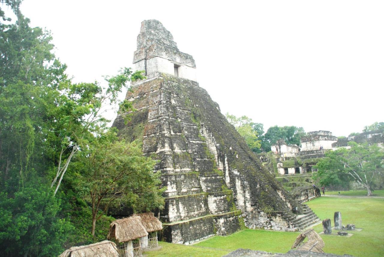 Peten Esplendido Flores Rom bilde